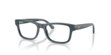 Grey / Clear (7546)