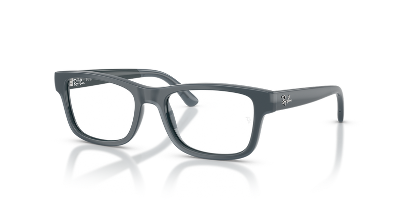 Ray-Ban Youth RY1951 in Grey - Alternate View