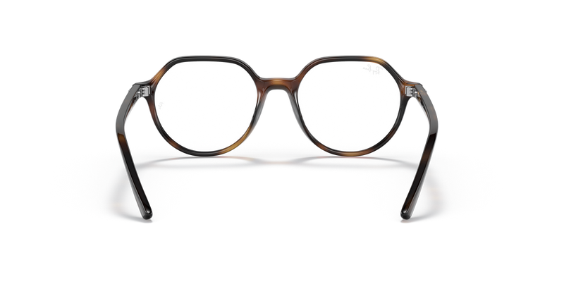 Ray-Ban Youth JUNIOR THALIA in Havana - Alternate View