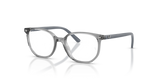 Transparent Grey / Clear (7514)