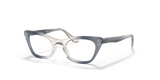 Transparent Blue / Clear (3891)