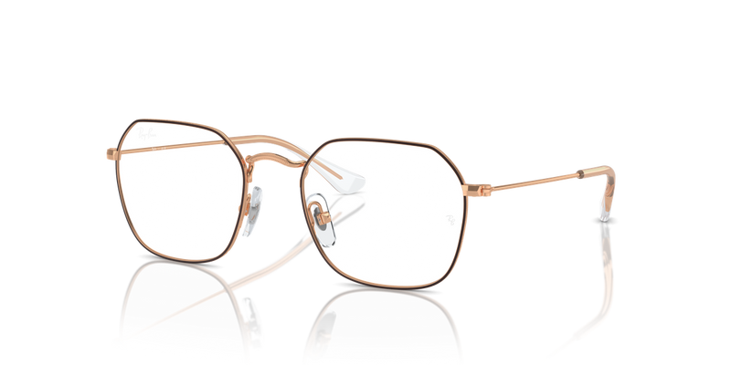 Ray-Ban Youth 0RY9594V in Brown On Rose Gold - Alternate View