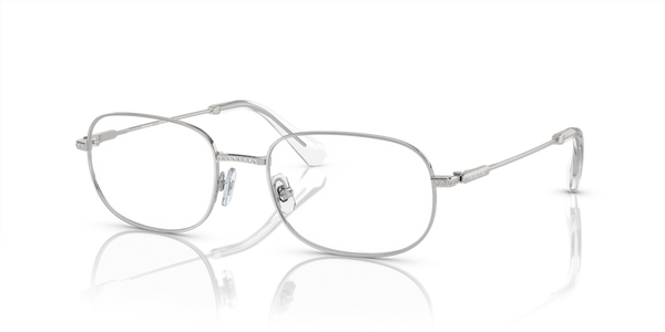 Swarovski SK1005