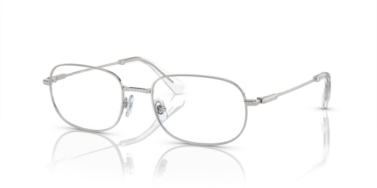 Swarovski SK1005 - Silver / Demo Lens (4001)