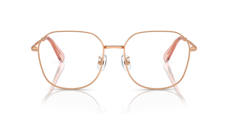 Swarovski SK1009D in Rose Gold / Demo Lens (4014) - Alternate View