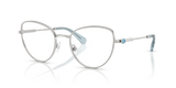 Silver / Demo Lens (4020)