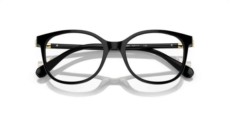 Swarovski SK2002 in Solid Black (1001) - Alternate View