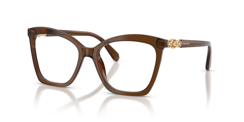 Swarovski SK2053 in Transparent Brown / Demo Lens (1084) - Alternate View