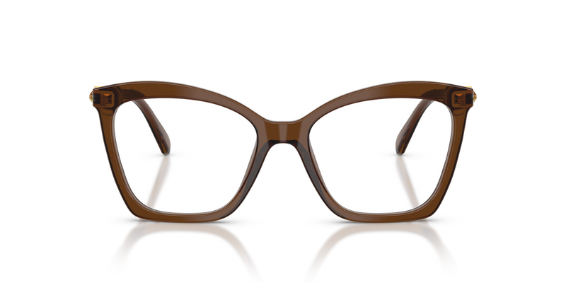 Swarovski SK2053 in Transparent Brown / Demo Lens (1084) - Alternate View