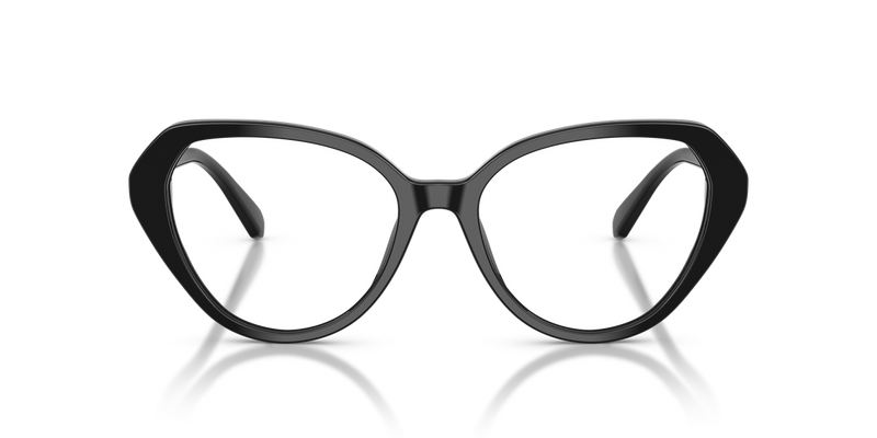 Swarovski SK2054F in Black / Demo Lens (1001) - Alternate View
