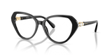 Black / Demo Lens (1001)