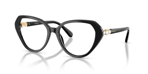 Black / Demo Lens (1001)