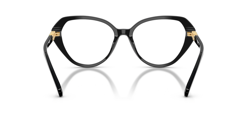 Swarovski SK2054 in Black / Demo Lens (1001) - Temple Detail