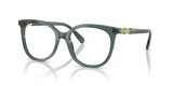 Transparent Green / Demo Lens (1043)