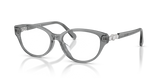 Transparent Dark Grey / Demo Lens (1062)