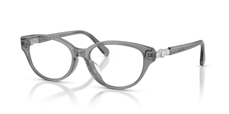 Swarovski SK2058D in Transparent Dark Grey / Demo Lens (1062) - Alternate View