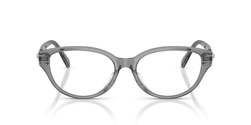 Swarovski SK2058D in Transparent Dark Grey / Demo Lens (1062) - Alternate View