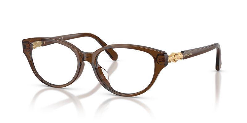 Swarovski SK2058D in Transparent Brown / Demo Lens (1084) - Alternate View