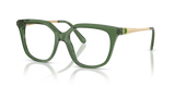Transparent Green / Demo Lens (1085)