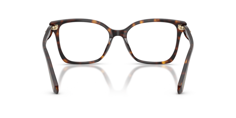 Swarovski SK2061F in Havana / Demo Lens (1101) - Alternate View
