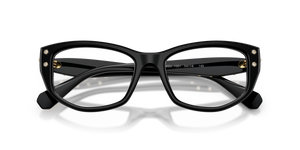 Black / Demo Lens (1001)