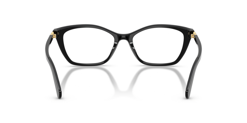 Swarovski SK2065 in Black / Demo Lens (1001) - Temple Detail