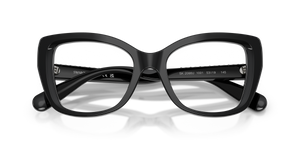 Black / Demo Lens (1001)