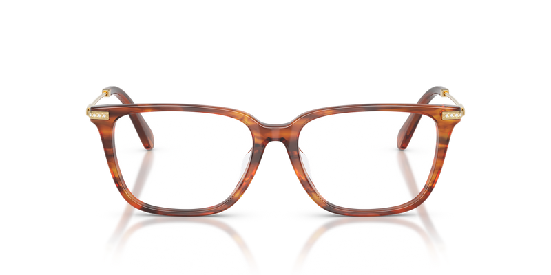 Swarovski SK2067D in Striped Havana / Demo Lens (1091) - Alternate View