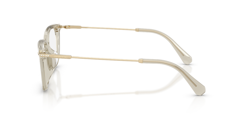 Swarovski SK2067D in Transparent Beige / Demo Lens (3003) - Alternate View