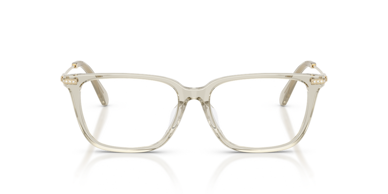 Swarovski SK2067D in Transparent Beige / Demo Lens (3003) - Alternate View