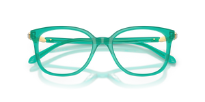 Transparent Green / Demo Lens (1028)