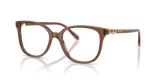Transparent Brown / Demo Lens (1067)
