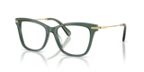 Transparent Light Green / Demo Lens (1043)