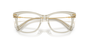 Transparent Beige / Demo Lens (3003)