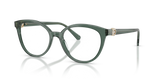 Transparent Green / Demo Lens (1043)