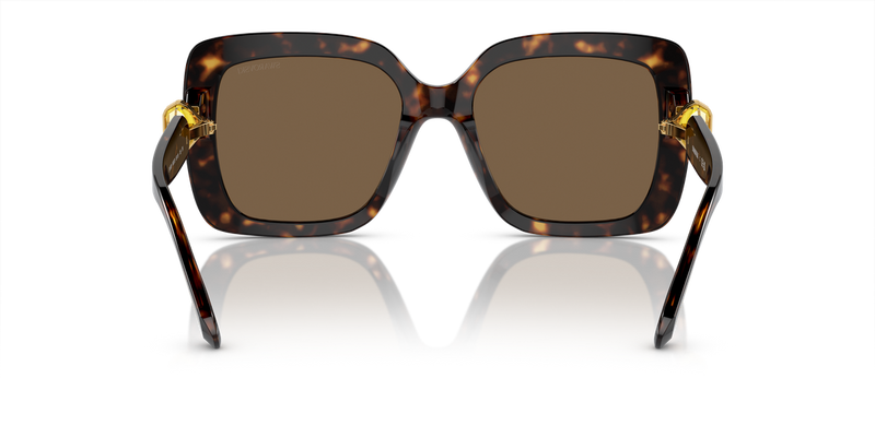 Swarovski SK6001 in Havana / Dark Brown (100273) - Alternate View