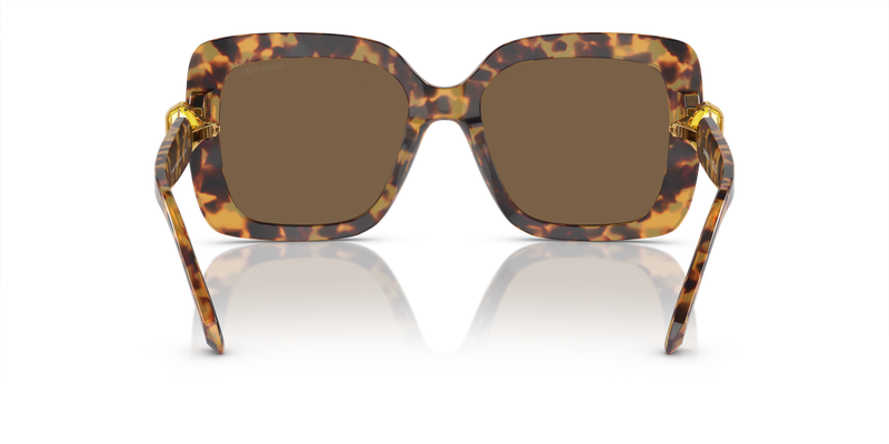 Swarovski SK6001 in Light Havana / Dark Brown (104073) - Alternate View