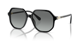 Black / Grey Gradient (100111)