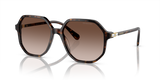 Havana / Brown Gradient (100213)