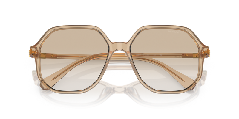 Swarovski SK6003 in Opaline Light Brown / Gradient Light Grey (103411) - Alternate View