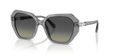 Transparent Grey / Gradient Grey (106211)