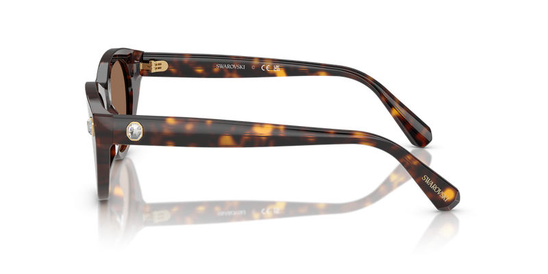 Swarovski SK6025 in Havana / Dark Brown (100273) - Alternate View