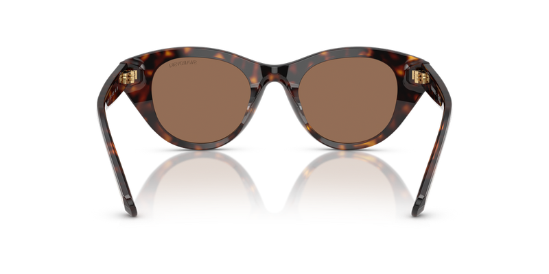 Swarovski SK6025 in Havana / Dark Brown (100273) - Alternate View