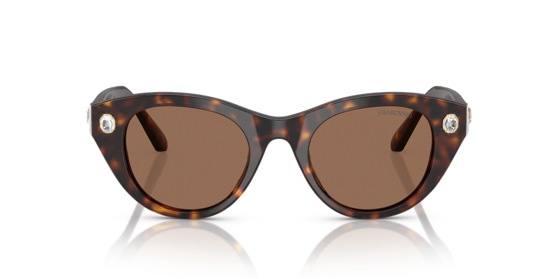 Swarovski SK6025 in Havana / Dark Brown (100273) - Alternate View