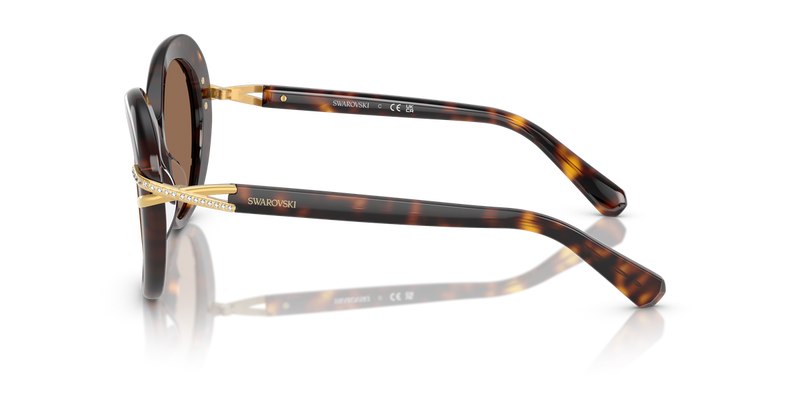 Swarovski SK6026 in Havana / Dark Brown (100273) - Alternate View