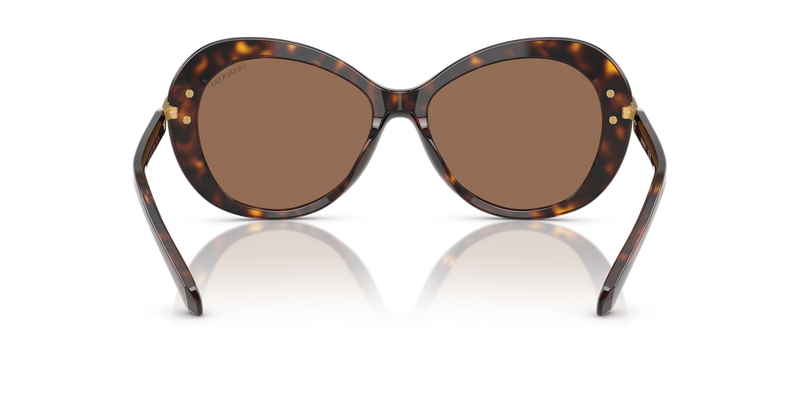 Swarovski SK6026 in Havana / Dark Brown (100273) - Alternate View