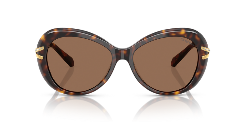 Swarovski SK6026 in Havana / Dark Brown (100273) - Alternate View