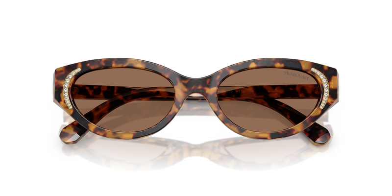 Swarovski SK6030 in Havana Medio / Dark Brown (104073) - Alternate View