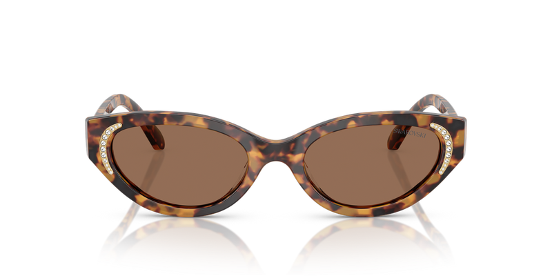 Swarovski SK6030 in Havana Medio / Dark Brown (104073) - Alternate View