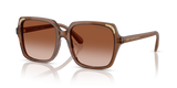 Transparent Brown / Gradient Brown (106713)